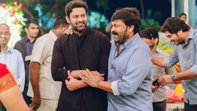 Chiranjeevi Role In Spirit Movie