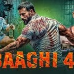 Baaghi 4 OTT Release Date
